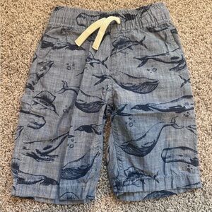 Gray & Blue Whale Print Kids Shorts Size 7